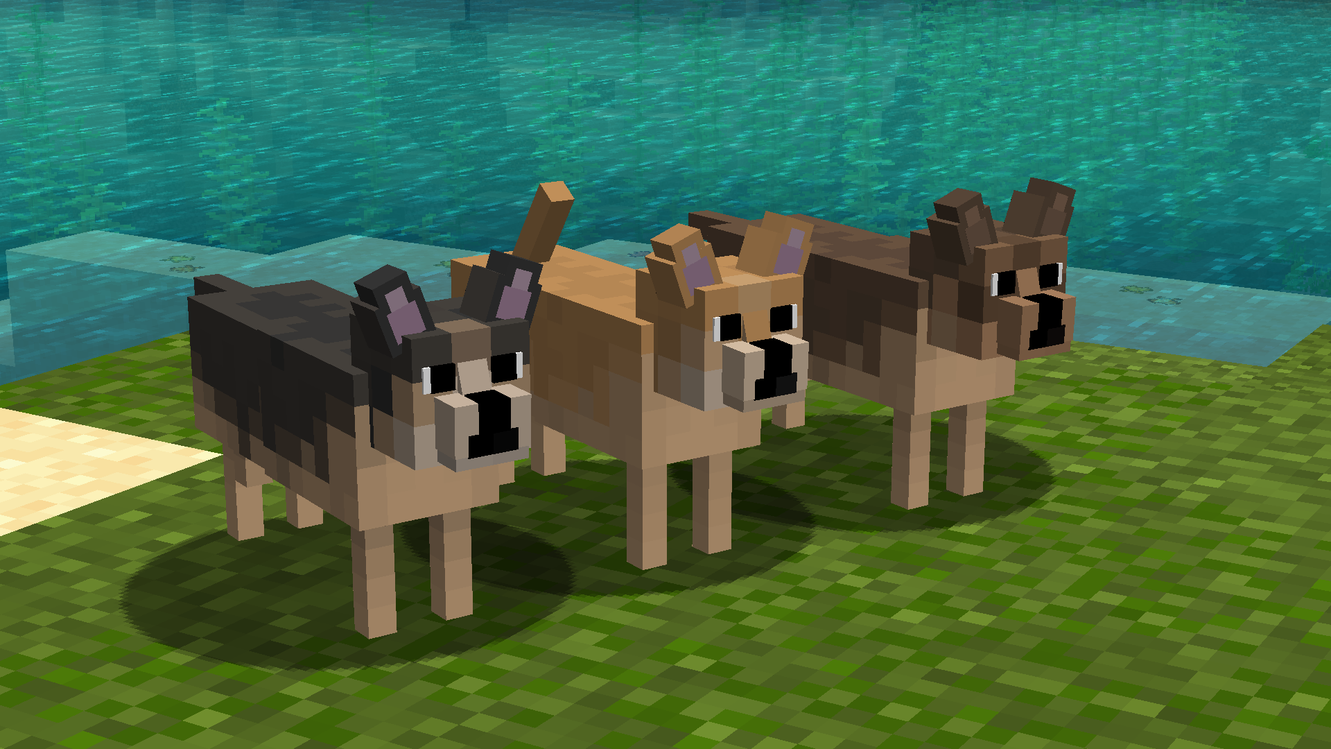 Minecraft dog mod. Фрост дог майнкрафт 1.18. Собака в МАЙНКРАФТЕ. Собачка из МАЙНКРАФТА. Собака из майна.