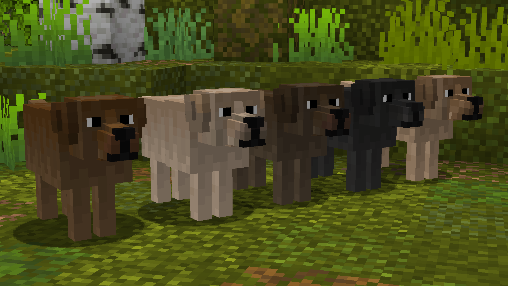 Minecraft dog mod. Собака в МАЙНКРАФТЕ. Собачка из МАЙНКРАФТА. Щенок из МАЙНКРАФТА. Пёс в МАЙНКРАФТЕ.