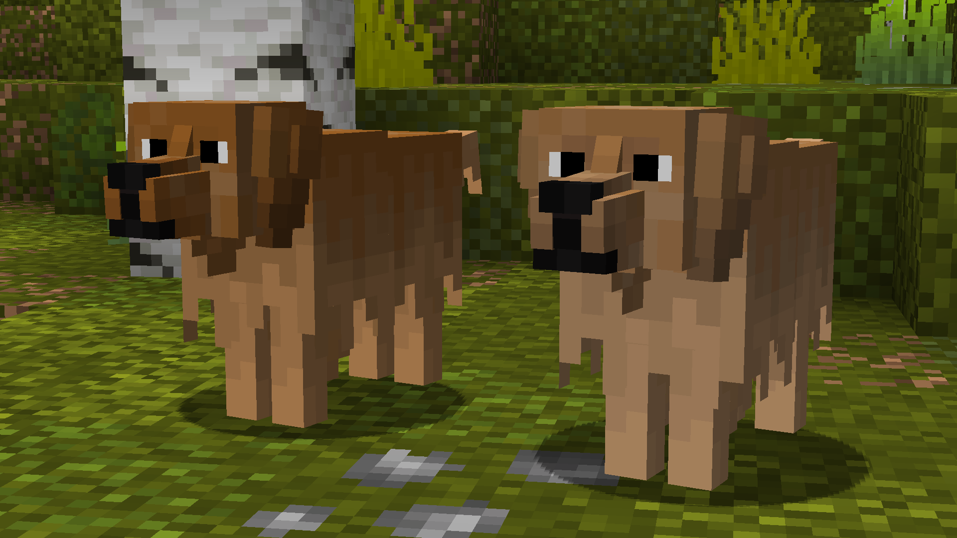 Minecraft dog mod. Собака в МАЙНКРАФТЕ. Собака из МАЙНКРАФТА. Фото собаки в МАЙНКРАФТЕ. Майнкрафт собака картинки.