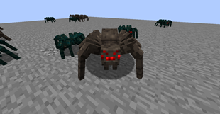 Big Leg Spider