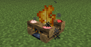 Campfire Backport