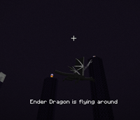 Ender Dragon Action Tracker
