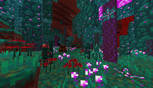 Jaden’s Nether Expansions | Version 1.0.0 (Optifine Required)