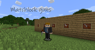 Matchlock Guns