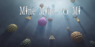 Mine Mine no Mi
