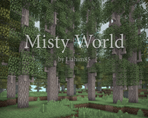 Misty World