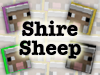 Shire Sheep