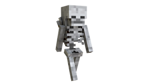 Skeletons 505