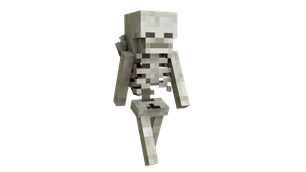 Skeletons 505