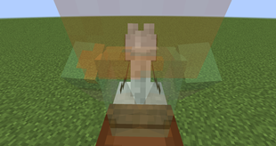 minecraft mod Two Players One Horse