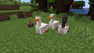 Untitled Duck Mod (Forge)