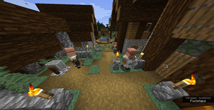Villagers with Separated Arms