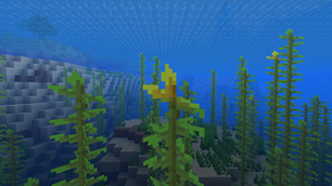 Yellow Kelp